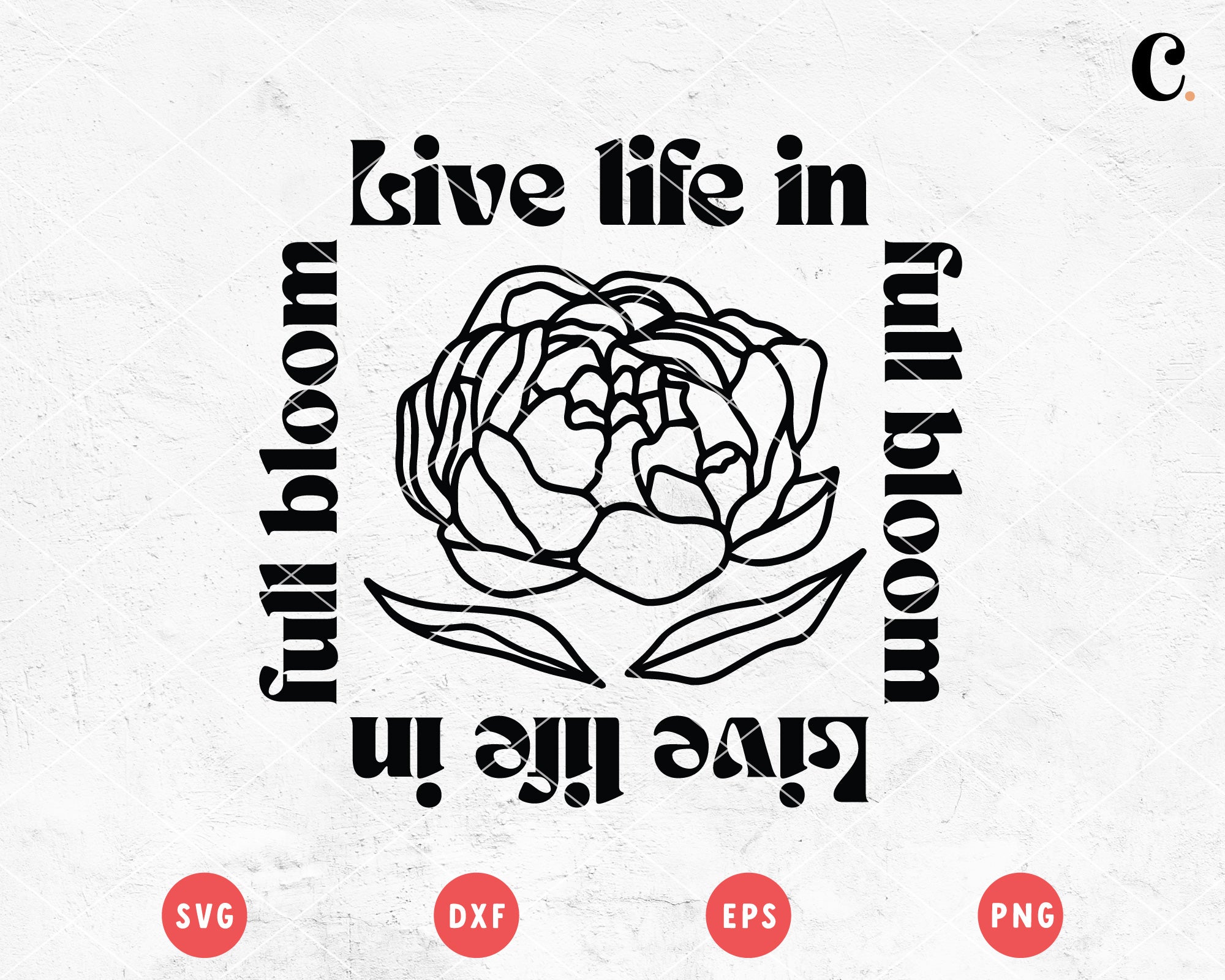 Boho Flower SVG | Live Life In Full Bloom 2