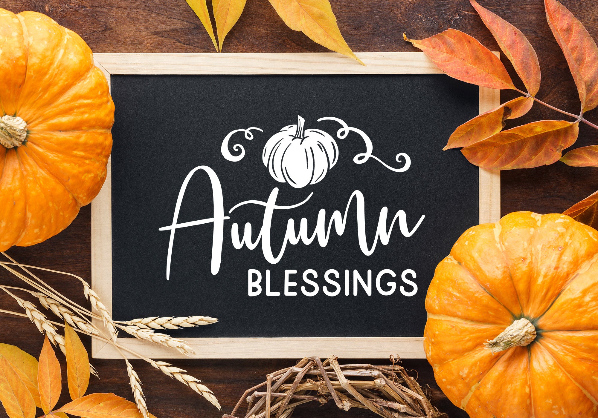 Fall Sign Making SVG Bundle | 20 Pack 2