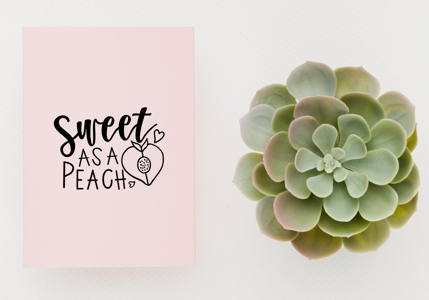 Funny & Cute Quote SVG Bundle | 20 Pack 5