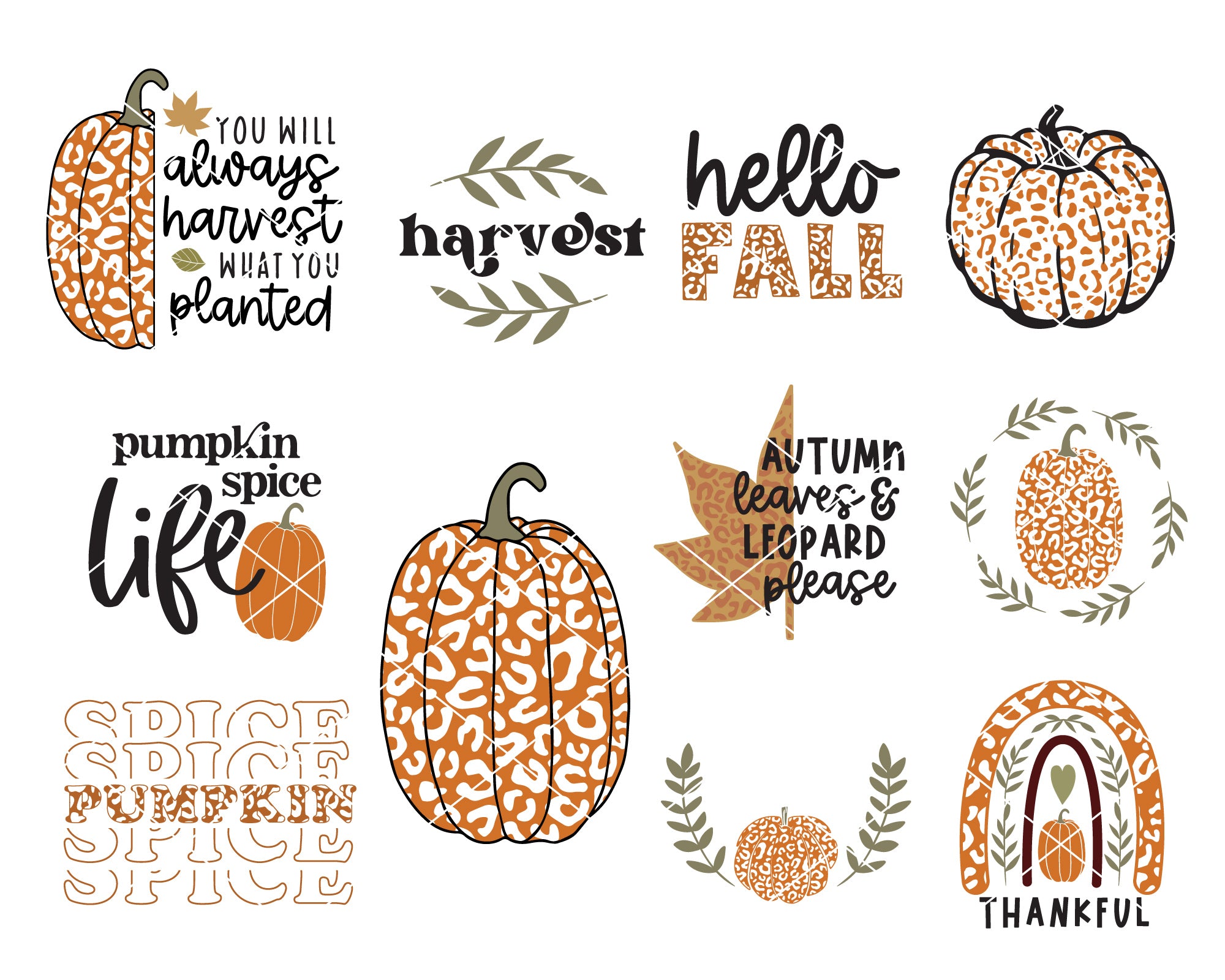 Leopard Fall Pumpkin SVG Bundle 3